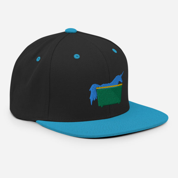 Snapback Hat - Image 2